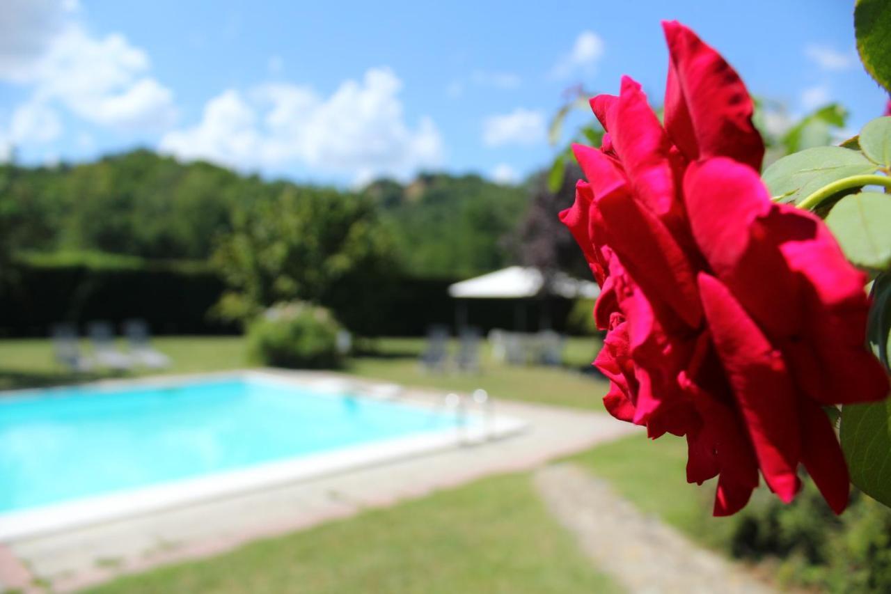 Il Casolare Bed & Breakfast Penna Exterior photo